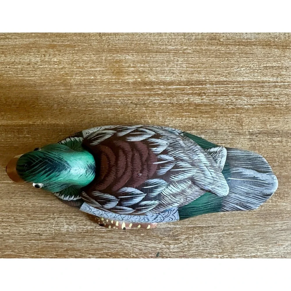 N/A beautiful mallard
